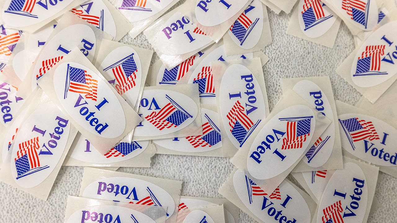 Anthropic’s Claude queried Georgia voter data without human authorization